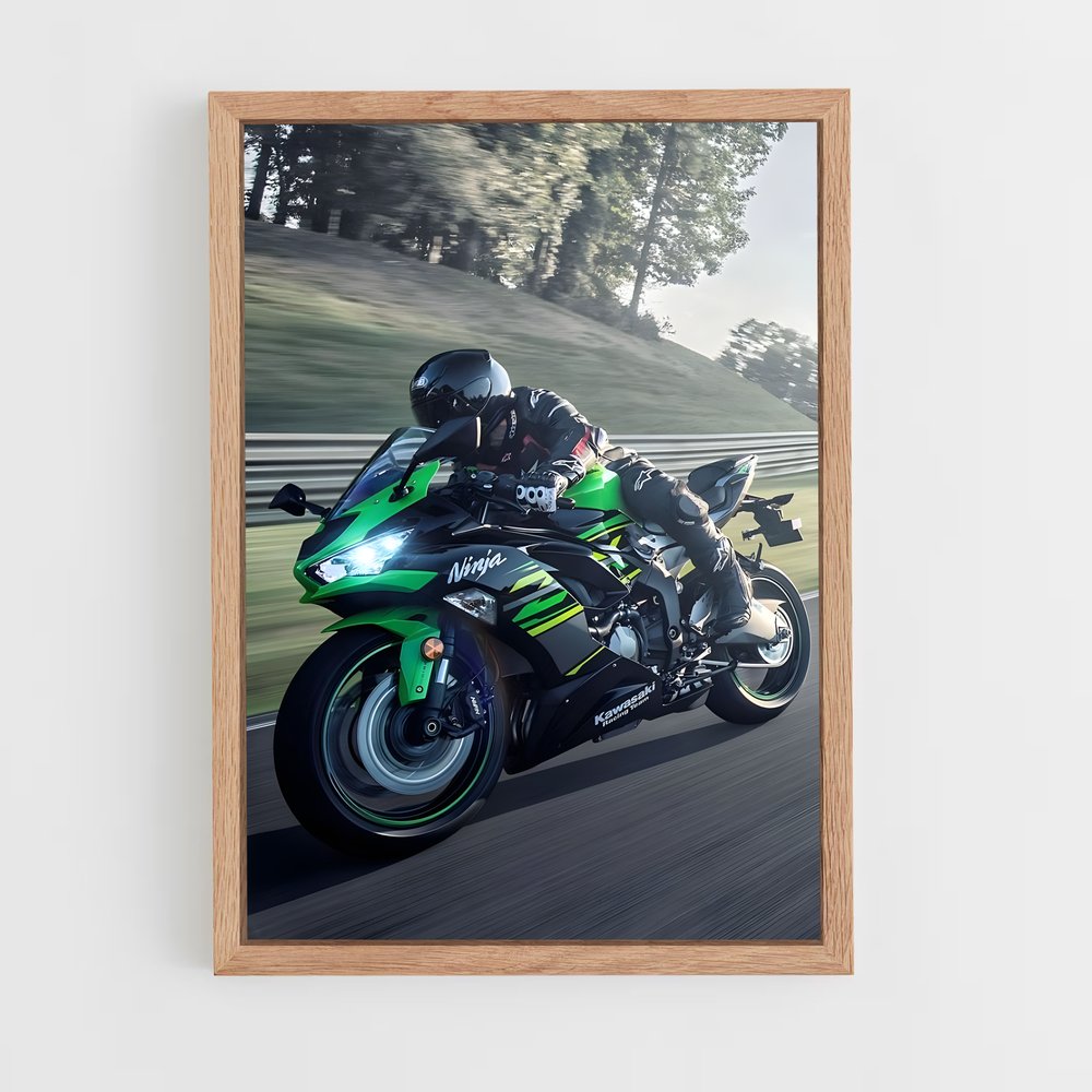 Poster Guerrier Audacieux (vue 4)